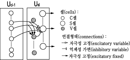 특징을 추출하는 S셀로 수렴하는 연결들